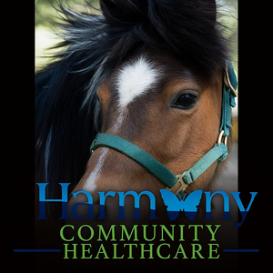 Fundraising Page: Harmony Community Healthcare Chris Grant
